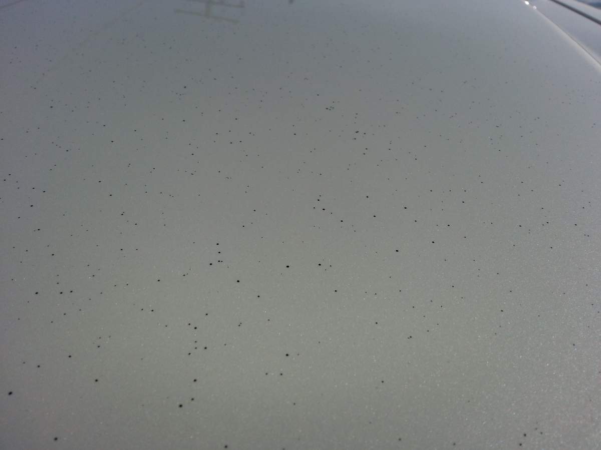 Oil droplets on a truck from crude oil leak (photo supplied)