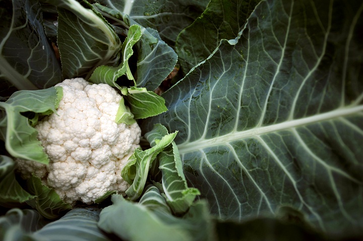 Cauliflower is considered one of 2014's super foods!