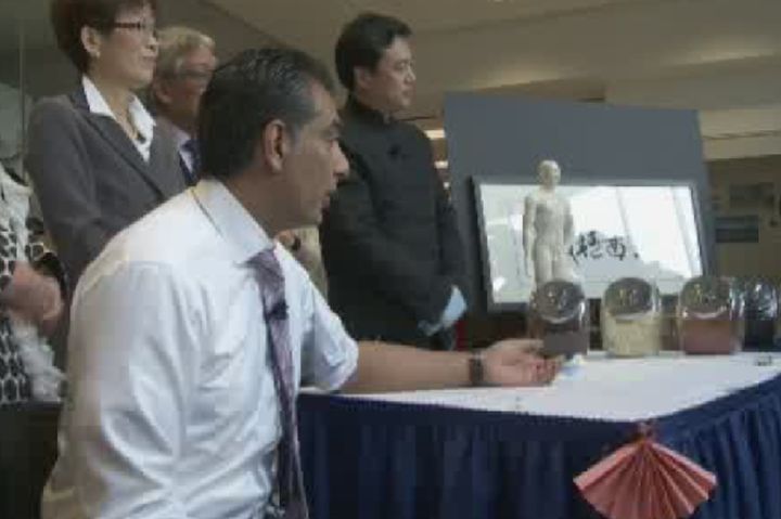B.C.'s advanced education minister Amrik Virk gets acupuncture after announcing the province's first public school of traditional Chinese medicine. 