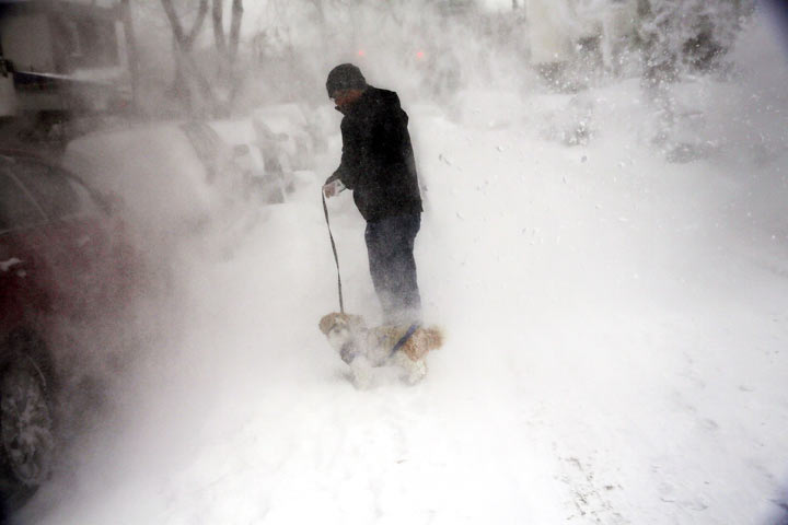 A man and his dog contend with blowing snow in Brooklyn following a snow storm that left up to 8 inches of snow on January 3, 2014 in New York, United States. 