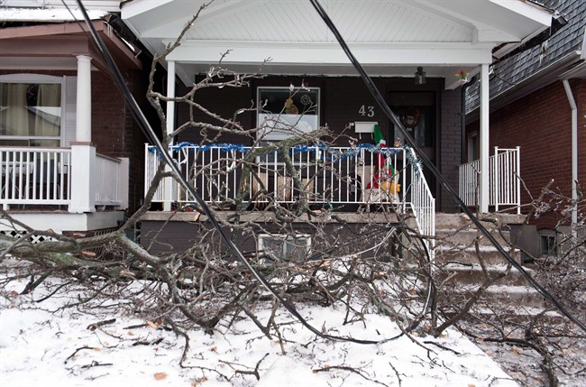 A house on in Scarborough, Ont. is framed by downed trees and power lines, Monday, December 23, 2013.
