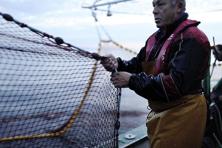 U.S. environmental group puts Canadian fisheries on its blacklist - image