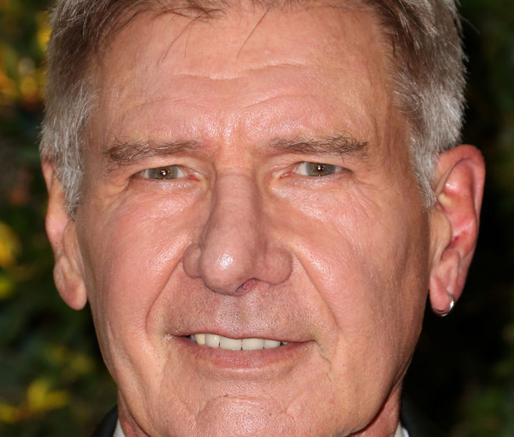 Harrison Ford, pictured in November 2013.
