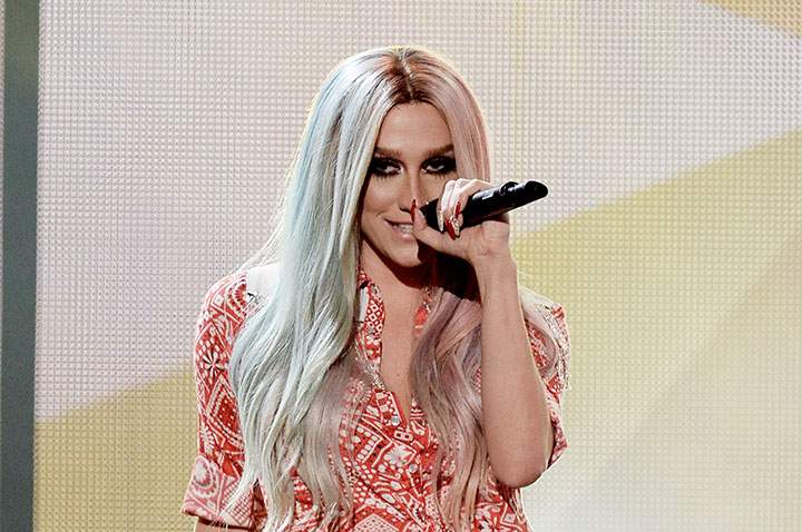 Ke$ha, pictured in November 2013.