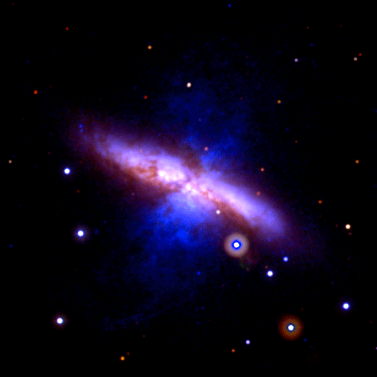 This animated GIF of Swift UVOT images shows M82 before and after the new supernova. The pre-explosion view combines data taken between 2007 and 2013. 