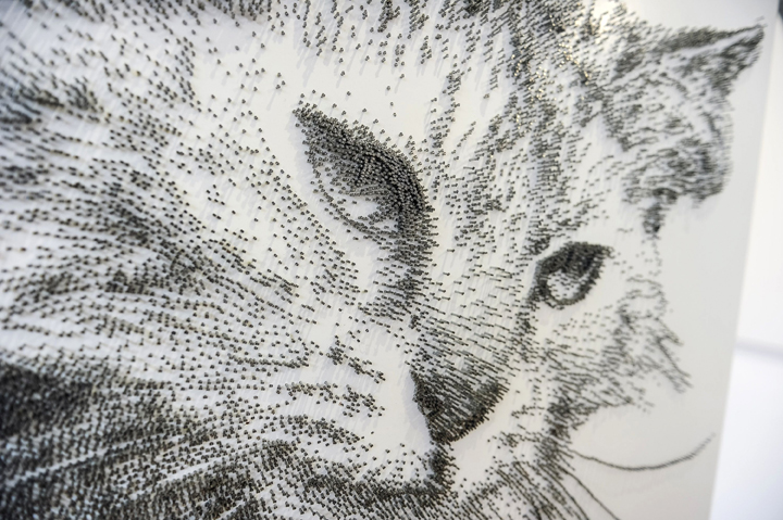 A nail image of a cat: