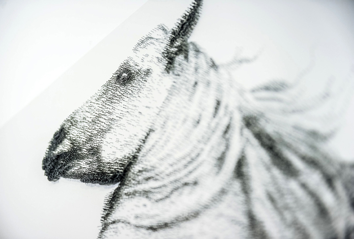 A nail image of a horse: