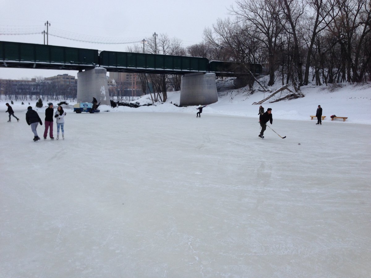 Skaters on the hockey rink at The Forks Historic Port on Friday, January 10, 2014.
