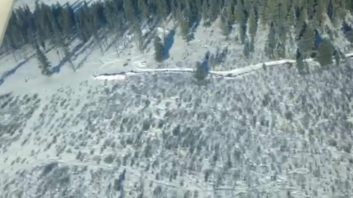 Aerial image of wild horse capture site near Sundre.