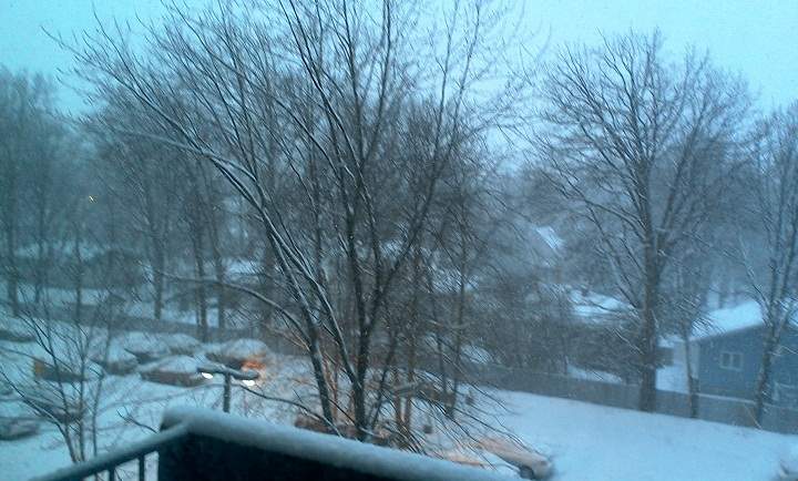 A glimpse of the snow falling in Pierrefonds on January 27, 2014. Photo credit: Phyllis MacAfee