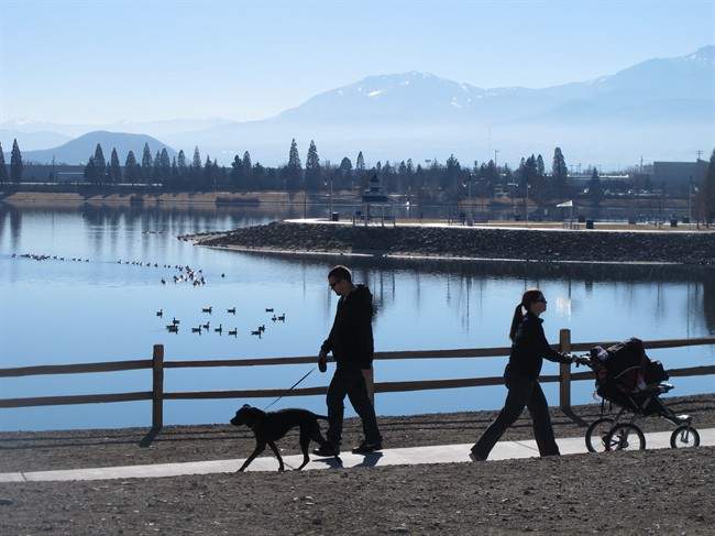 Joggers and dog-walkers make their way around the Sparks Marina, Wednesday Jan. 15, 2014 in Sparks, Nev. State wildlife biologists are trying to figure out what caused the kill-off the man-made lake's entire stocked fishery an estimated 100,000 trout, bass and catfish. 