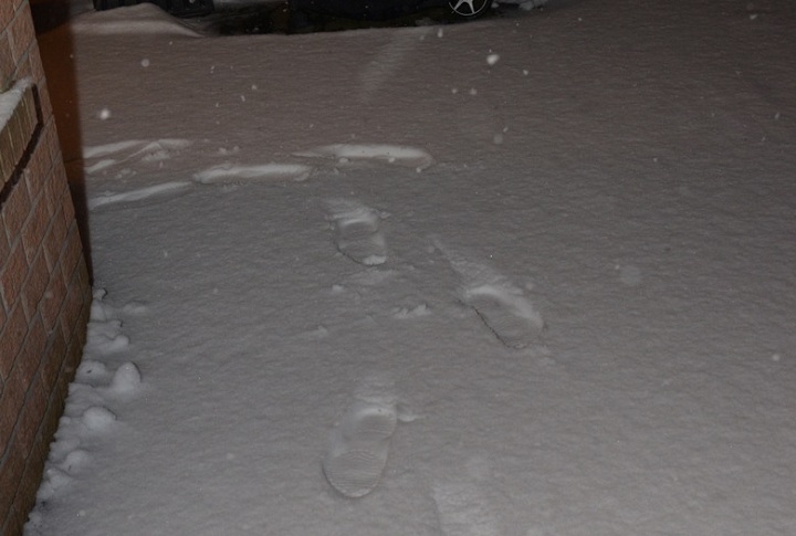 Prince Albert police say they followed tracks in the snow to those allegedly responsible for stealing a vehicle.
