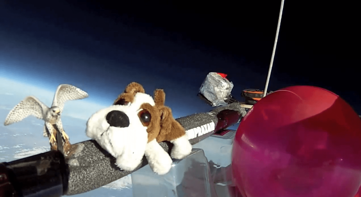 Kelowna space balloon - image