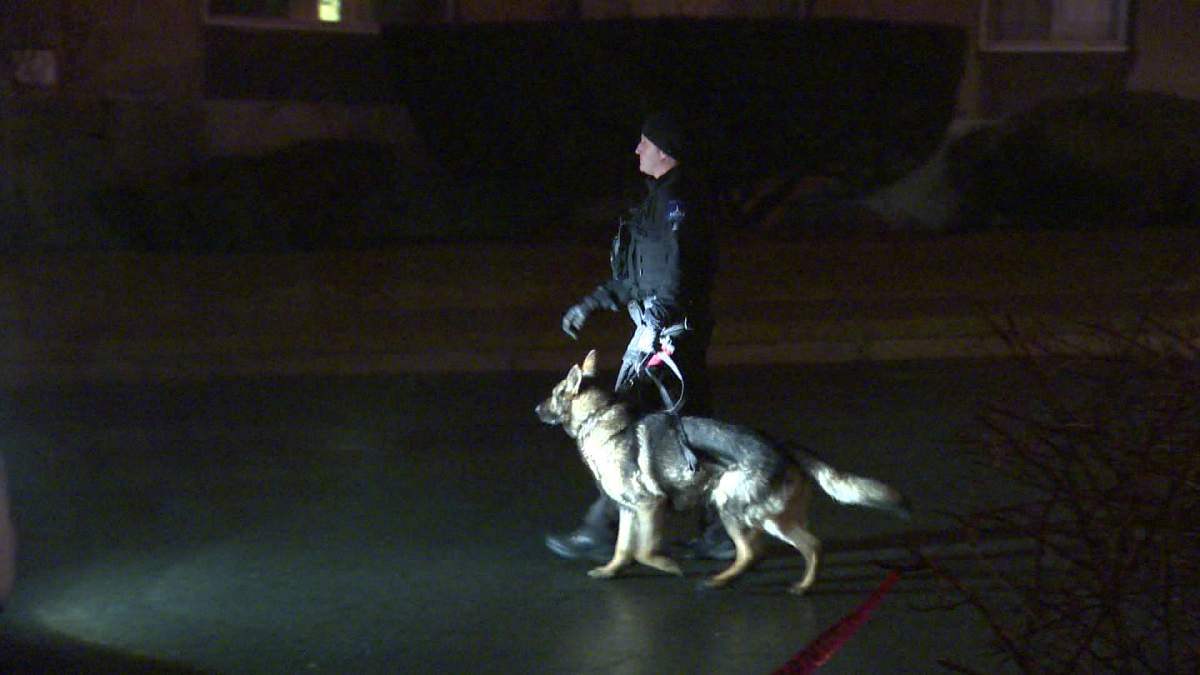 The K9 Unit helped track 3 suspects in robbery near the U of W Tuesday.