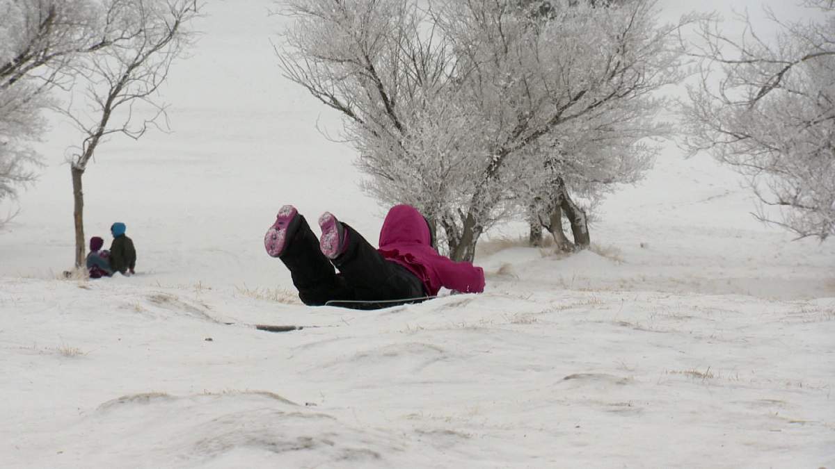 A child enjoys the hills at Mount Pleasant Sports Park.