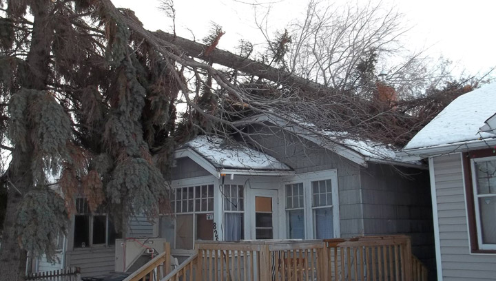 High winds brought down a tree onto a house in the 800-block of Avenue H North on Wednesday, Jan. 15.