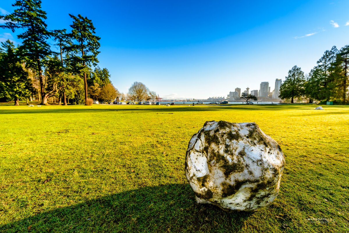 Winson Tang - Stanley Park.