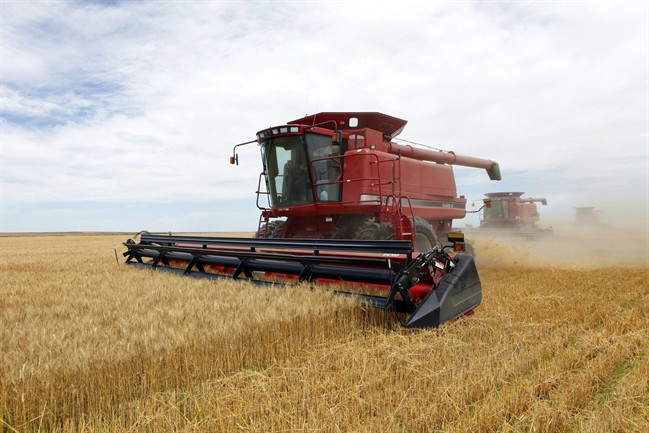 Vancouver Island group urging farmers to produce environmentally-friendly crops - image
