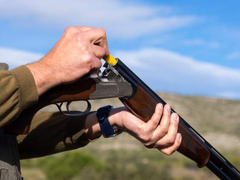 Northumberland OPP is investigating the theft of 14 firearms following a cottage fire in Trent Hills late last month.