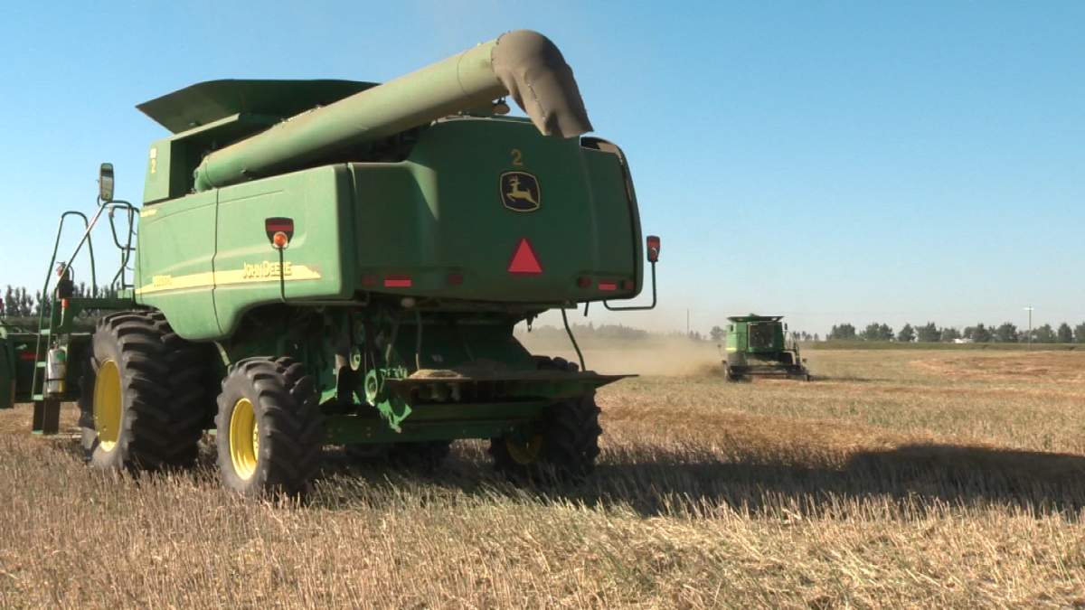 More people needed for careers in agriculture - image