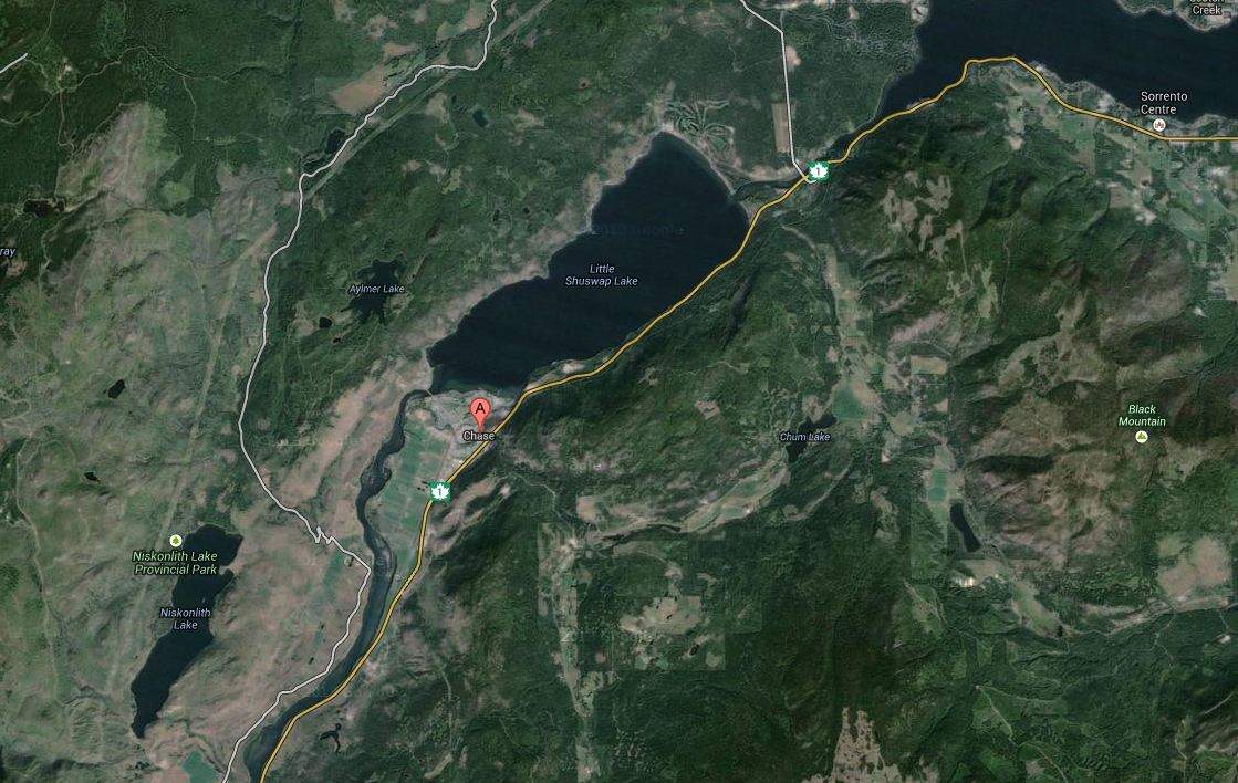 Crash kills Enderby woman - image