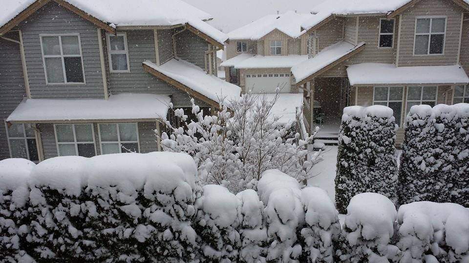 Snowfall warning issued for Metro Vancouver - BC | Globalnews.ca
