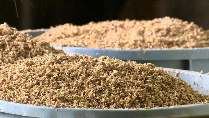 Proposed food and drug regulation tweaks announced in federal budget have Saskatoon craft beer makers buzzing
