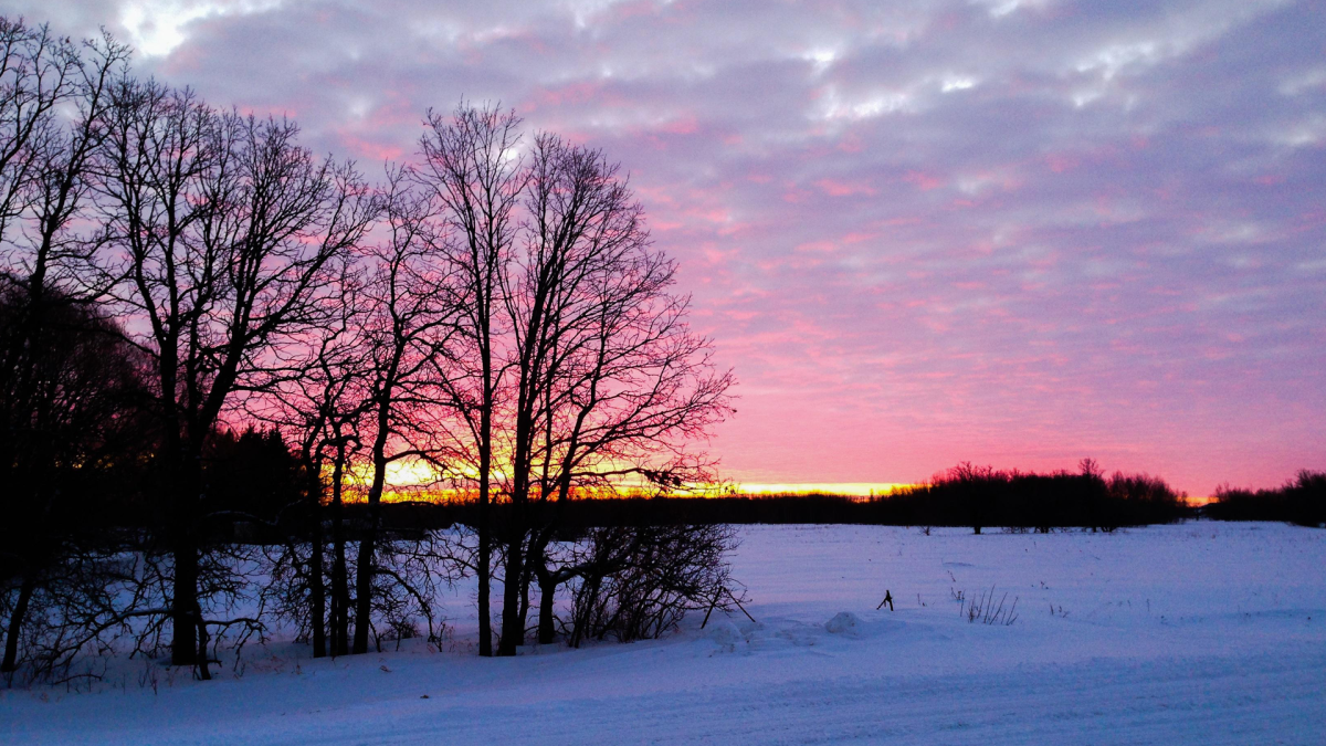 Your Manitoba
