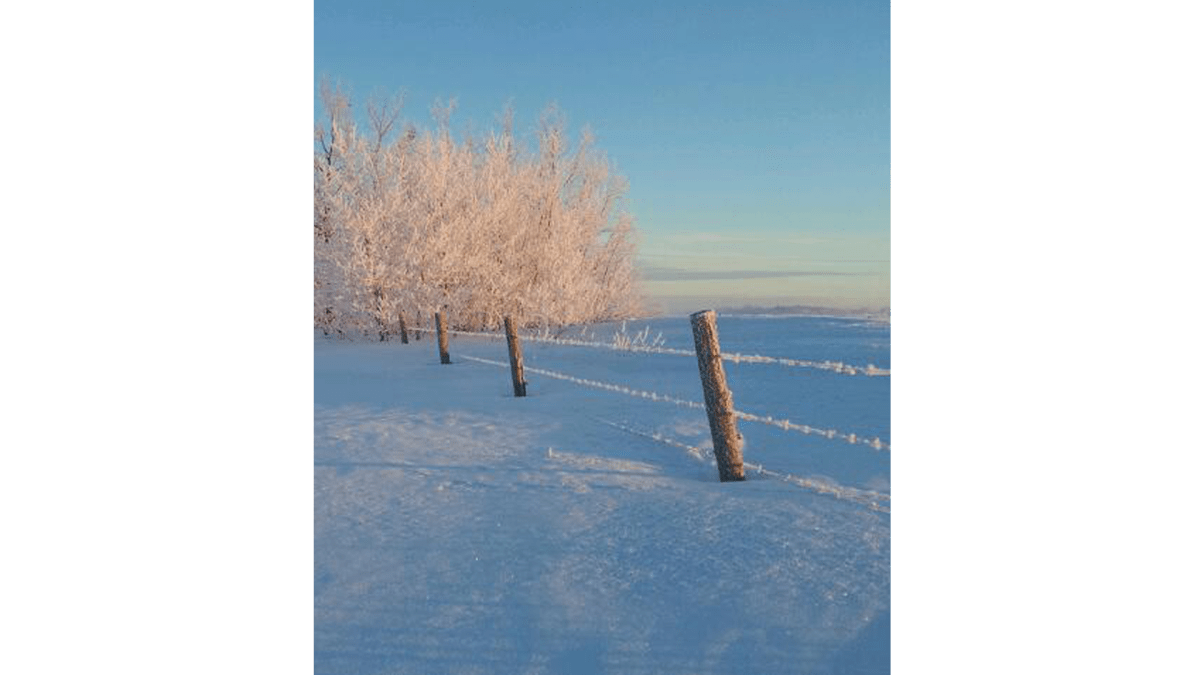 Your Manitoba