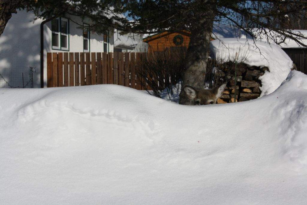 Your Manitoba