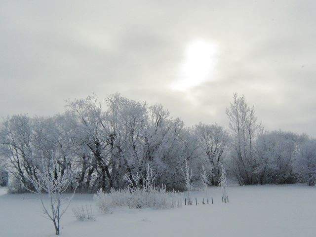Your Manitoba