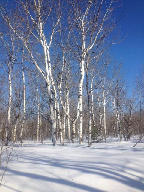 Your Manitoba