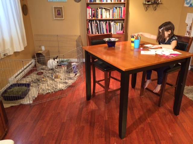 Isabel working on one of her sketches. Credit: Linda Aylesworth, Global News