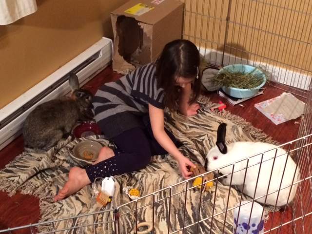 Isabel working on one of her sketches. Credit: Linda Aylesworth, Global News