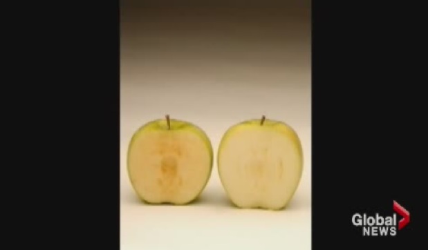 The Arctic Apple is on the right.