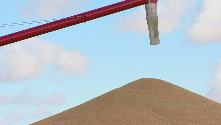A grain backlog is affecting more than farmers, suppliers are also feeling the pinch of producers not being able to get their grain to market.
