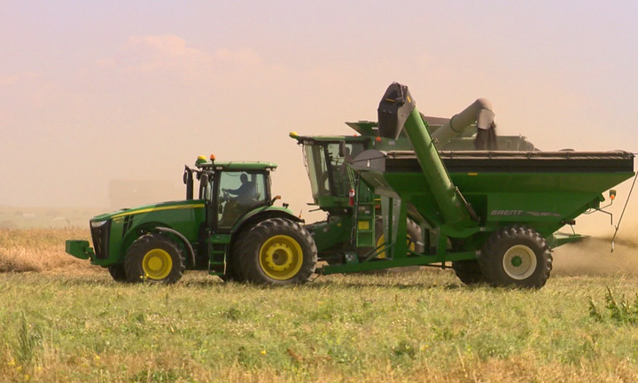 Sask. Crop Report: Producers making good progress on harvest  | 24CA News
