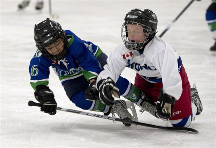 Hockey Winnipeg is expected to join other minor hockey organizations that require parents to take the Respect in Sport program.