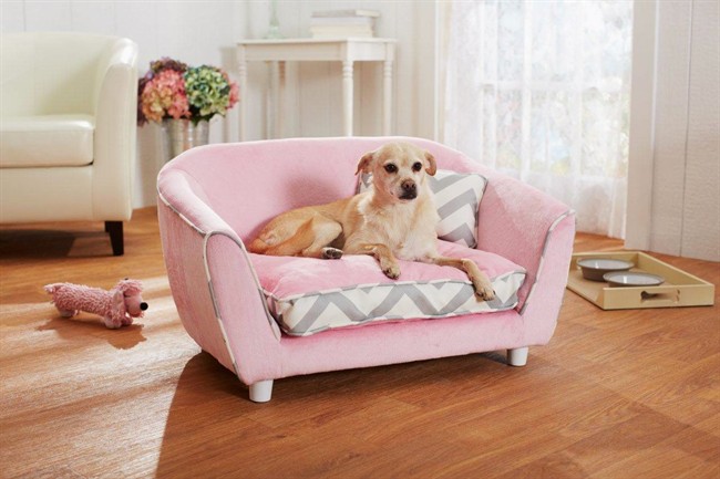 Pet-owner challenge buying new furniture