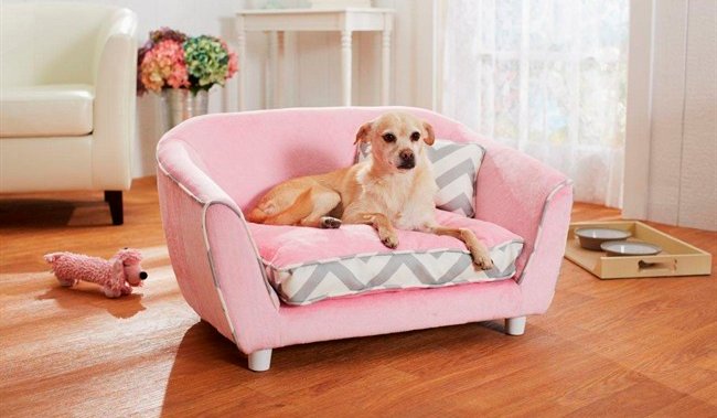 Pet Owners When Ing New Furniture, How To Protect Leather Sofa From Pets