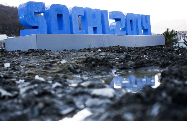An activist who spray painted a fence to protest the environmental impact of the Olympic construction of Sochi was sentenced to 3 years in prison.