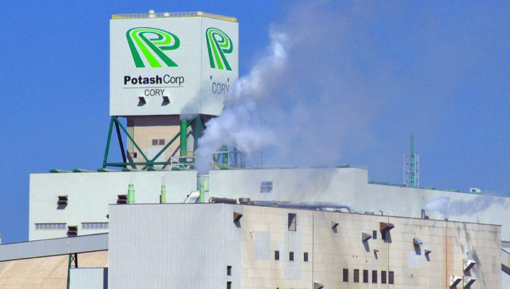 A worker was killed after ore on a roof fell on him at the PotashCorp Cory mine west of Saskatoon.