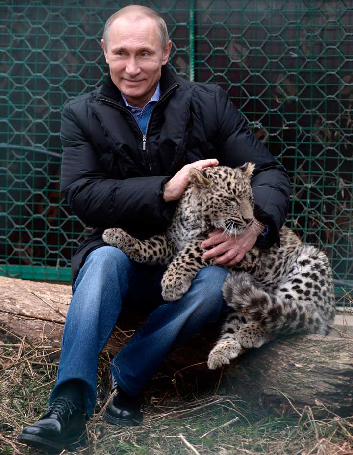 Putin pets a leopard