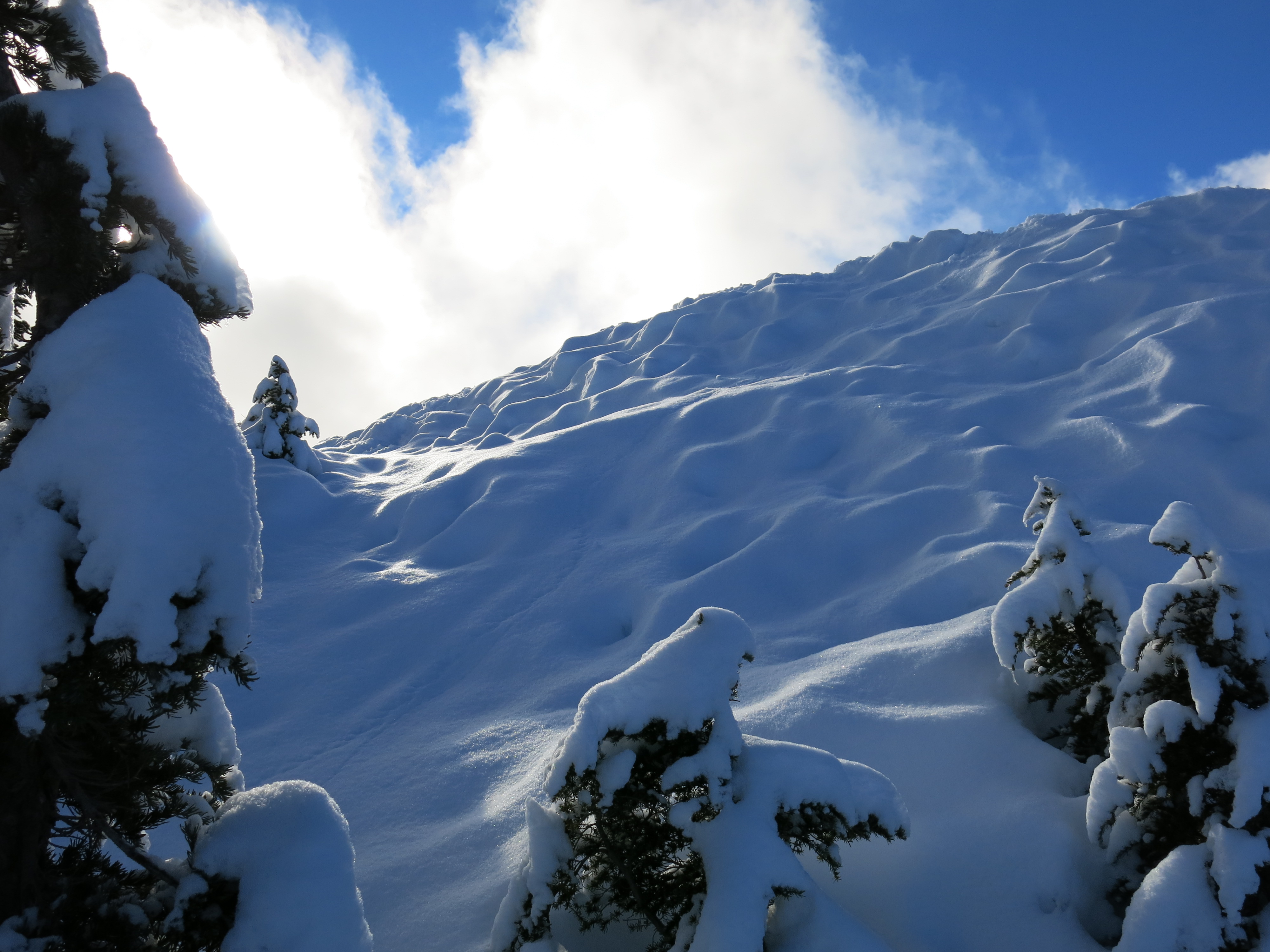 B.C. storm raises avalanche risk, cancels ferries, causes blackouts on south coast