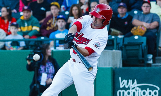 Winnipeg Goldeyes outfielder/infielder Ryan Scoma has had his contract purchased by the Toronto Blue Jays.