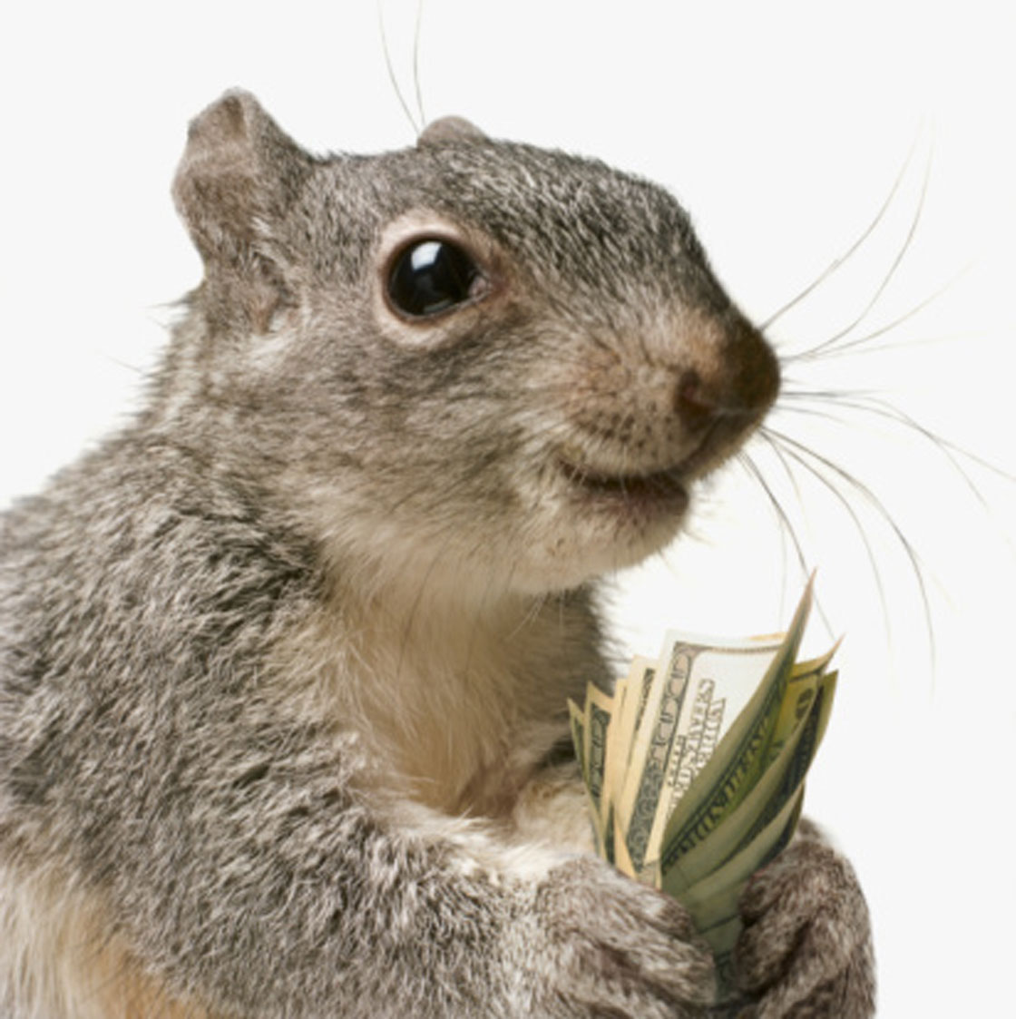 Squirreling money away in a long-term savings plan may not be the best use of funds if you have outstanding loans charging high interest rates, according to experts.