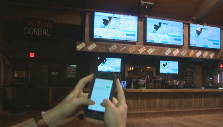 FireText has designed a software which will gather messages, pictures and graphics from the 82,000 fans' social media sites and broadcast the information on over 60 TV screens in MetLife Stadium.