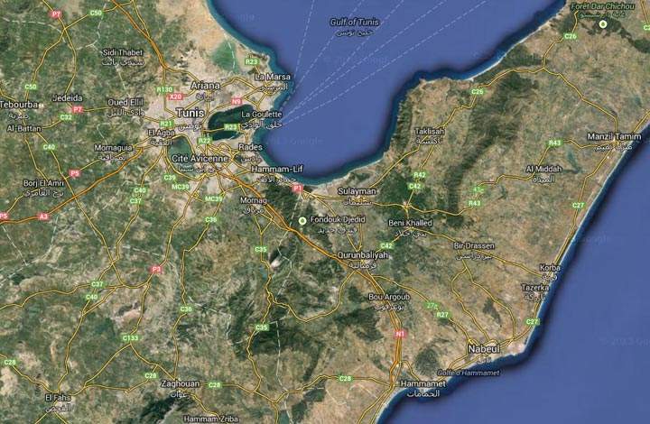A civilian aircraft crashed at dawn Friday in a field near Tunisia's capital, killing all 11 people on board, the defence ministry said.