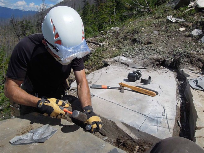 Astonishing fossil site discovered in B.C. - image
