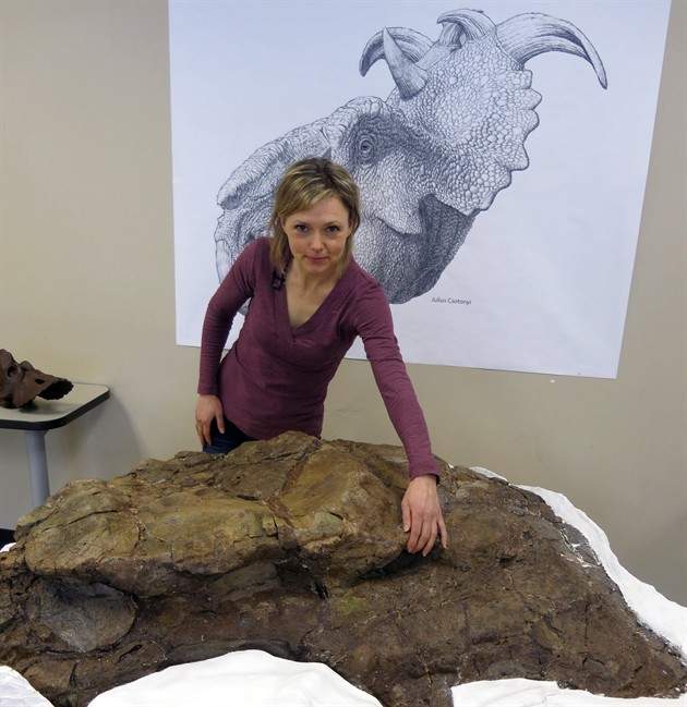 University of Calgary professor Darla Zelenitsky points to the eye socket of the skull of a pachyrhinosaur found inside the town limits in Drumheller, Alta., Thursday, Feb. 20, 2014.